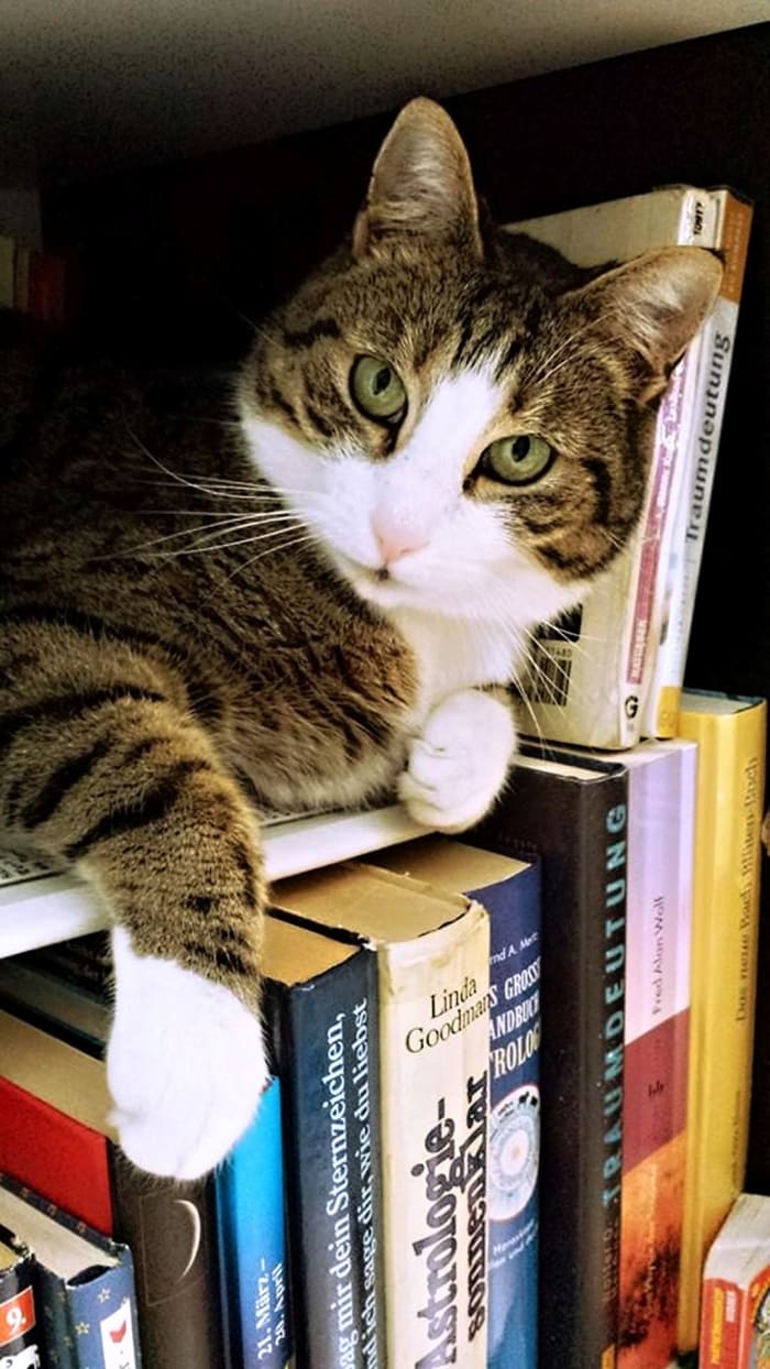 Choose your books wisely! Be a picky reader if you want to be a better writer. Select reading material that is well written and timeless.