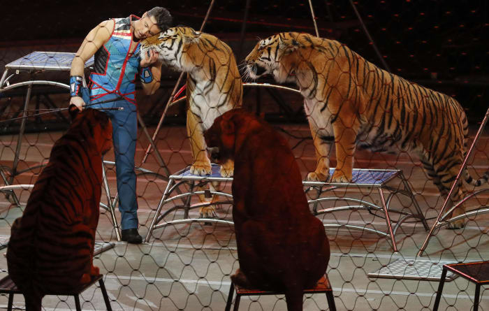 The Final Show. Alexander Lacey with Ringling Bros. and Barnum & Bailey presents Out Of This World (2016-2017)