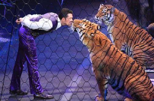Alexander Lacey with some affectionate felines! Ringling Bros. and Barnum & Bailey presents Dragons (2012-2014)