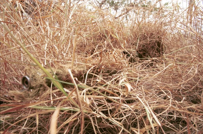 This picture is obviously of a sniper, but he has used good fieldcraft to keep himself hidden. Birders should look to use similar techniques in order to remain hidden from the bird they are watching.