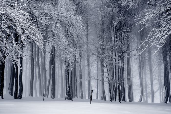 Winter is not everybody favorite season. However, there are fun things to do at home while you're trying to avoid the cold weather.