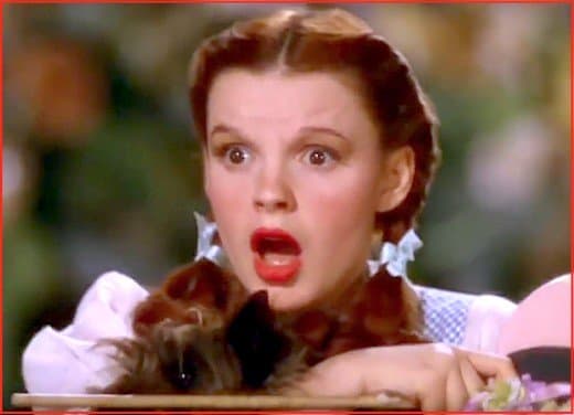 In The Wizard of Oz movie, Judy Garland utters one of the most iconic phrases in cinematic history: "Toto, I've a feeling we're not in Kansas anymore."
