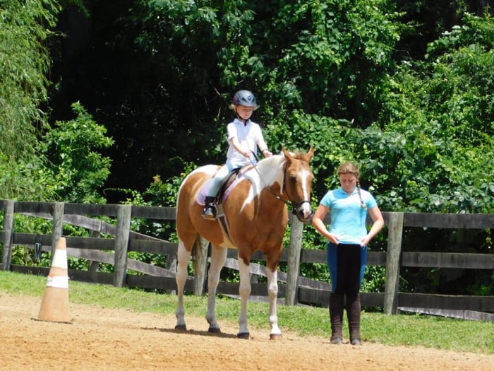 Our farm shows normally go from leadline classes all the way to walk, trot, canter, and jumping.