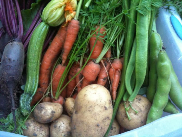 Vegetables are a verstile ingredient that can be prepared and eaten in many ways.