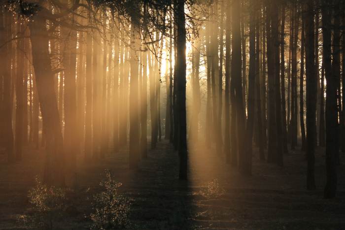 Beck is a huge fan of nature and also mentions it in her book, "Finding Your Way in a Wild New World." In her books, she discusses nature as a healer and a way spiritual seekers can get in touch with themselves.