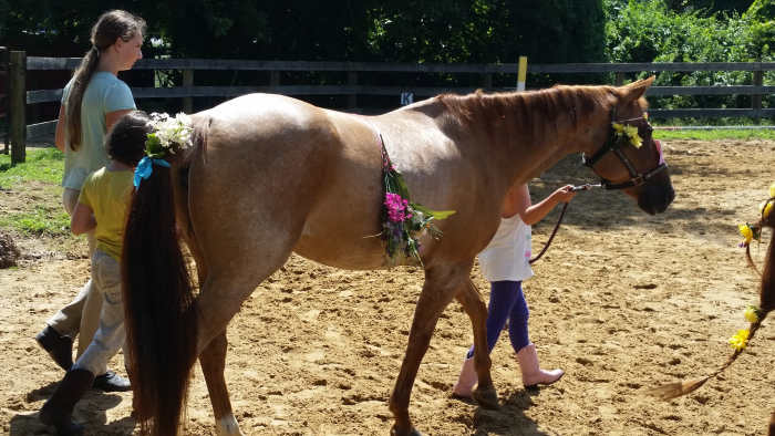 This is Lily, the pony that I had the accident with. As you can see, she is normally sweet calm and tolerant of pretty much anything. She just had a bad day on March 13 and so did I.