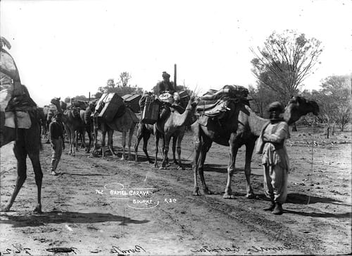 When the camel was king, carrying freight with their Afghan herders.