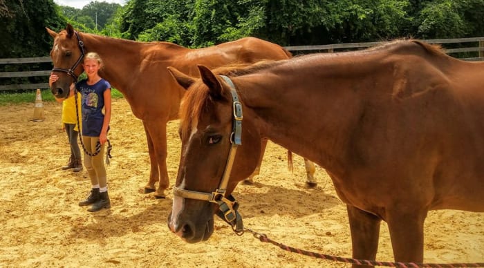 Leasing a horse can be a great option for any rider, just make sure you are aware of all your responsibilities as far as the arrangement goes.