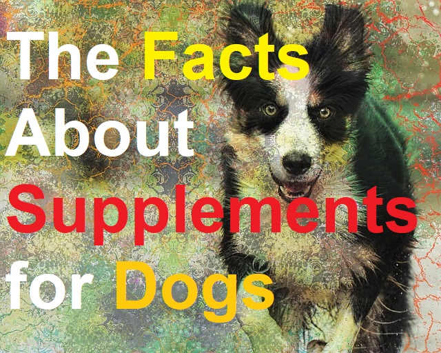 While a third of dogs in the USA are fed supplements daily, American Veterinary Medical Association studies suggest that they are largely unnecessary and may even cause harm in some cases