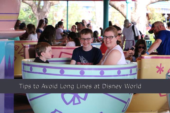 Preparation is crucial to avoiding long waits at Disney World. We used the extra magic hours to experience the rides before the park was open to the general public.