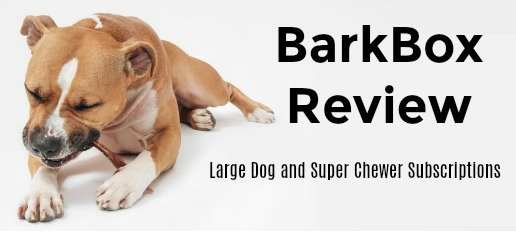 BarkBox subscription review for Large Dog Box and Super Chewer.