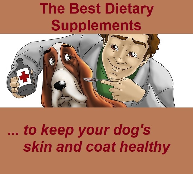 A healthy, balanced diet, water, and plenty of exercise are normally enough to keep your dog's skin and coat in peak condition. However, in some circumstances he may need an extra boost in the form of dietary supplements. Always ask a vet for advice