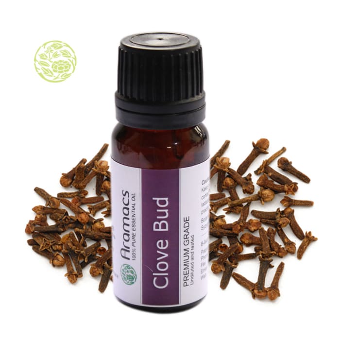 Clove Oil A Remedy for Dental Pain RemedyGrove Holistic Wellness