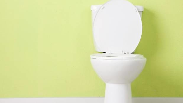 Toilet Seat Up Or Down While Pooping The Most Toilet