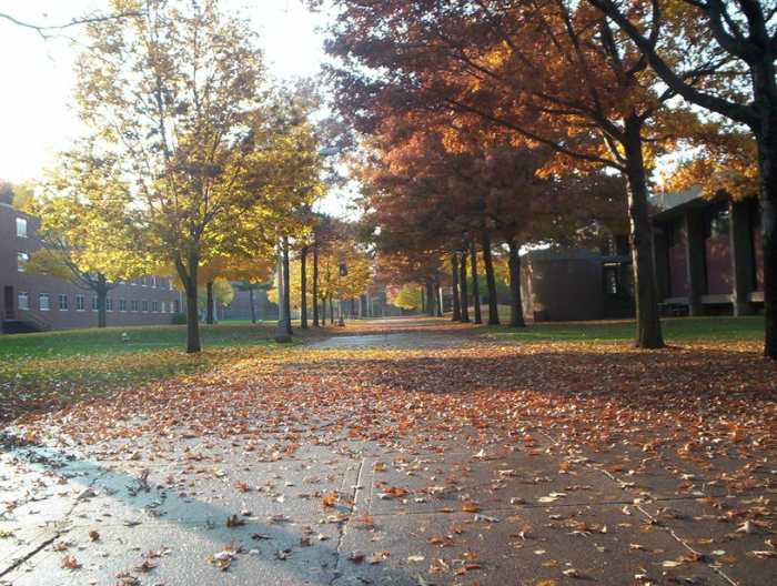 My inspiration for this poem was drawn from walking this campus during 2010 when I was deciding which college I was to attend the following year.