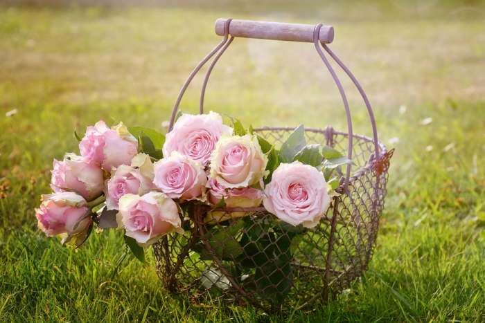 You have been looking over your neighbor's garden, but you never really took the time to examine yours.