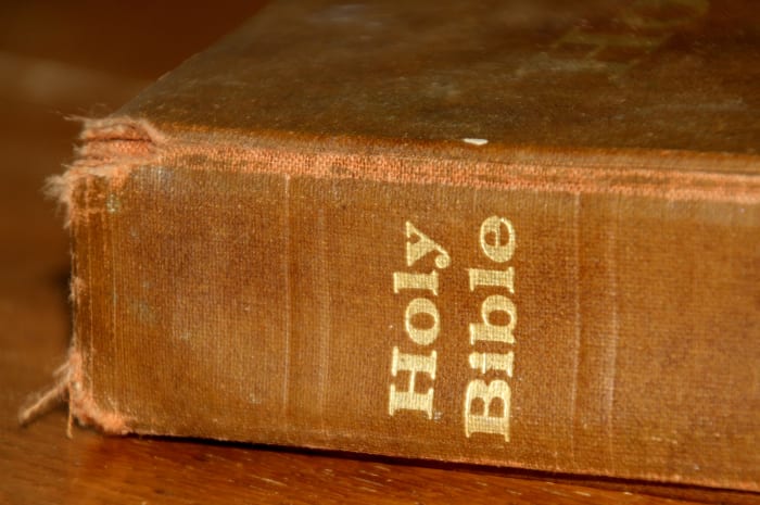 The Bible has many verses about compassion and love.