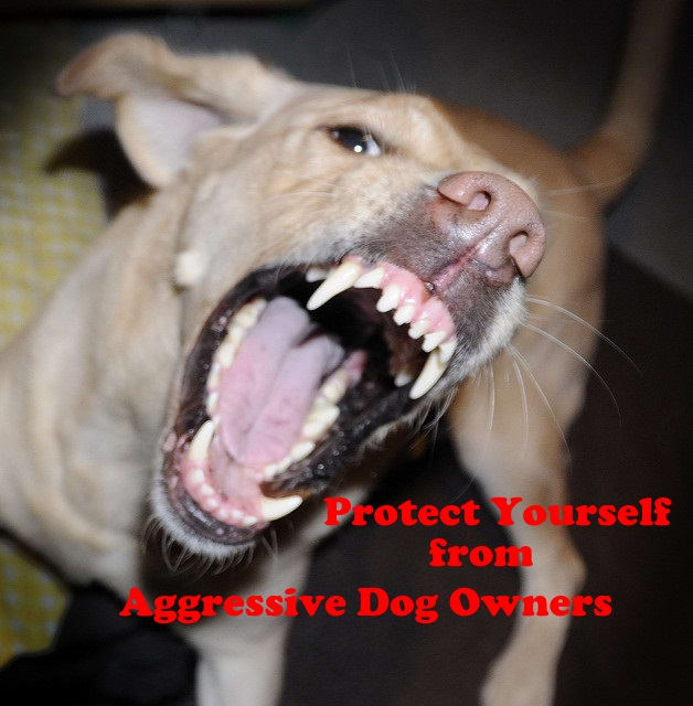 Learn to protect yourself from aggessive dog owners when you are walking your pet.