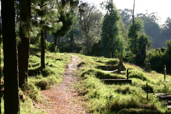 The Nilgiri hills are full of breathtakingly beautiful landscapes.