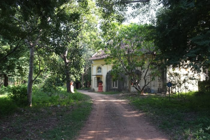 Huddlestone gardens with its old-world charm