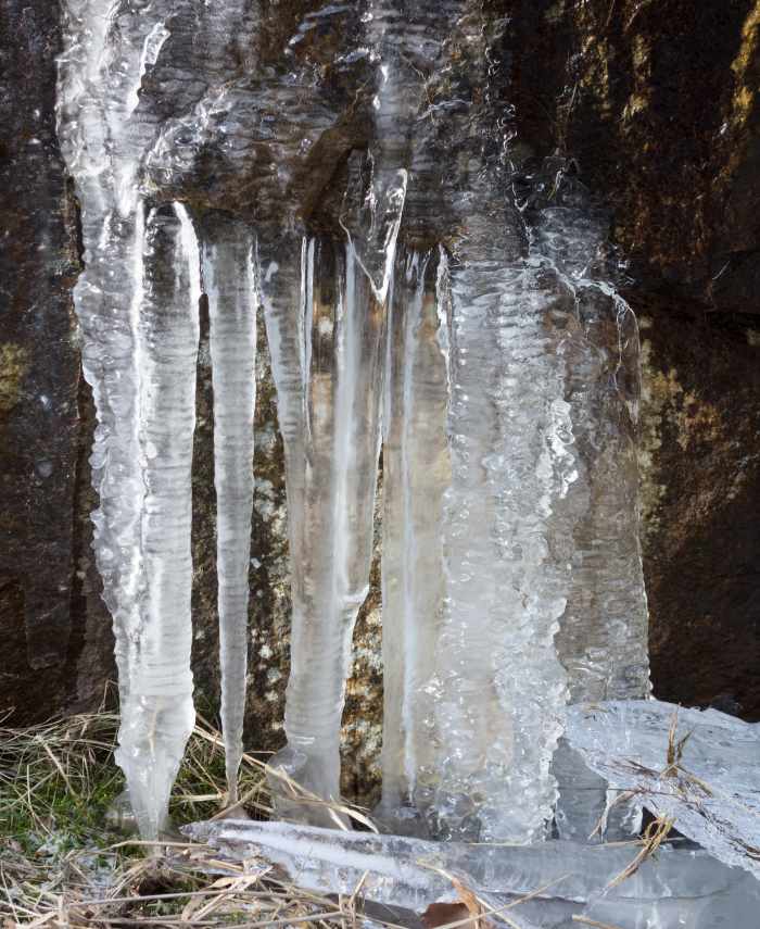 Icicles and ice formations on a granite cliff. The "growth rings" or banding on the icicles occurs as the water in the soil above the cliff thaws during the day and freezes during the night.