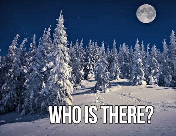 What started out to be just going home on a beautiful moon-lit night ended up a moment Tracy would never forget!