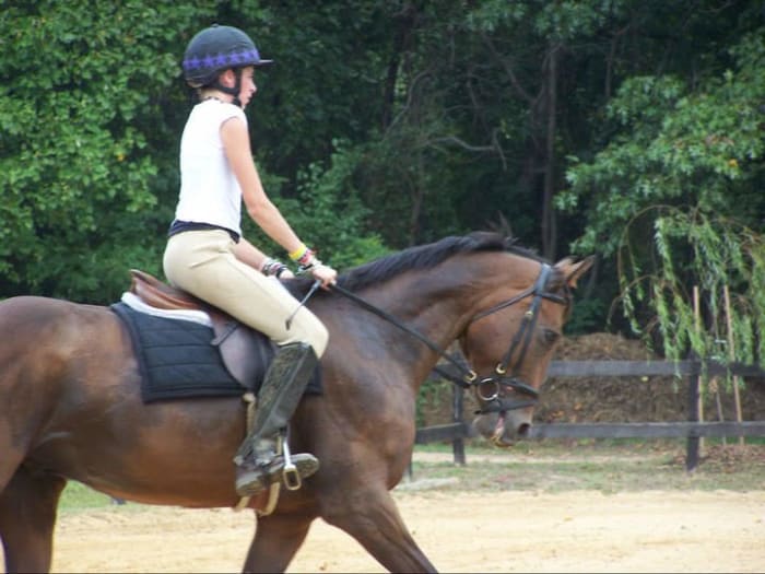 The square exercise helps you to ride the whole horse and reminds the horse to move off your outside leg.
