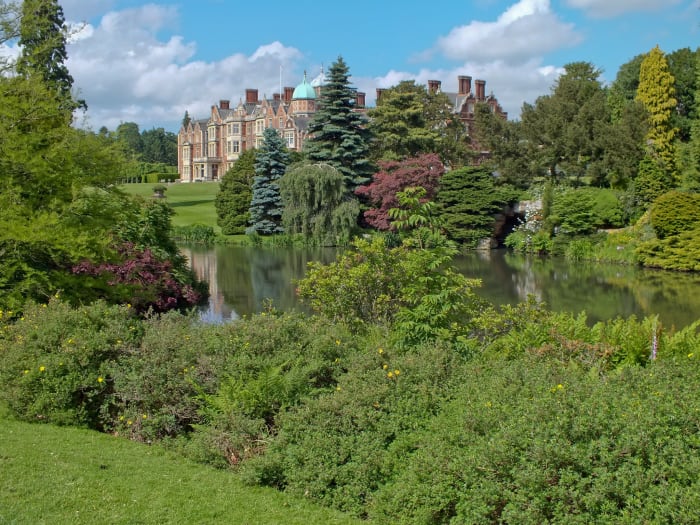 The first cases of Seasonal Canine Illness were in dogs who had been walked at the royal Sandringham estate
