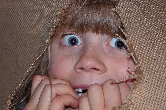 A 'perfect storm' has caused Google searches like "What is Momo?" and "Where does Momo live?" to spike.