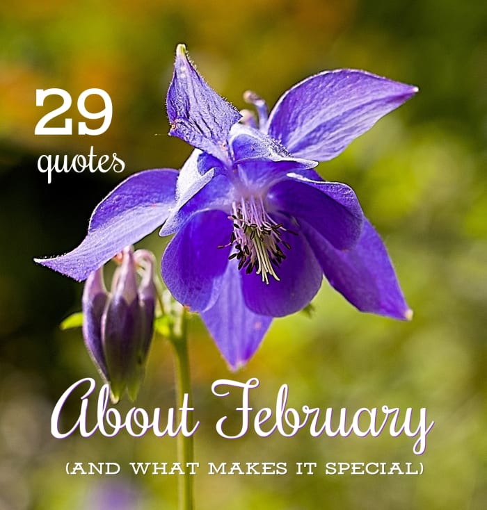 February Flower Quotes