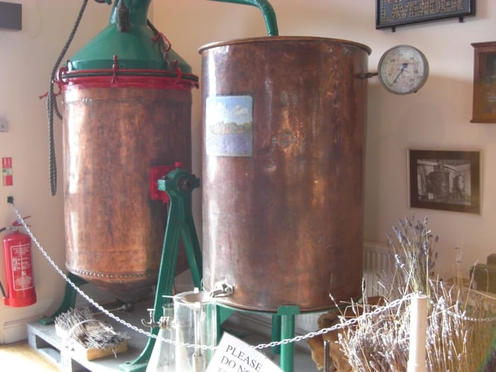 This shows the distillation equipment that is at the Norfolk Lavender farm and nursery for making essential oils.