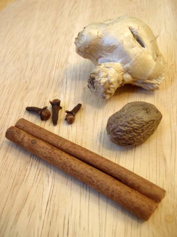 A variety of warm spices goes into making pumpkin spice. all or some of these spices - cinnamon, cloves, nutmeg, ginger, allspice and mace are the traditional ones used.