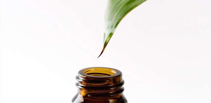 The antibacterial properties of tea tree oil can help guard your facial skin against future breakouts.