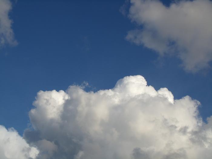 How to Lighten Your Hair Naturally at Home Bellatory Fashion and Beauty