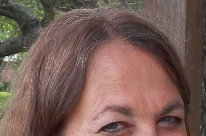 This close-up shows the grey hairs that are coming in as old hairs fall out.
