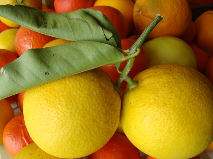 why spend money on commercial products when you can use the natural fruit acids in fruits such as citrus ones