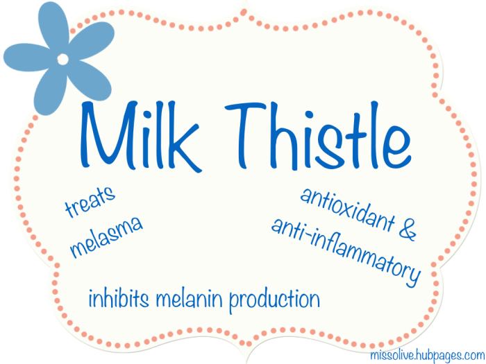 Aside from inhibiting melanin production, milk thistle extract is an antioxidant and anti-inflammatory liquid; it also aids is sun damage prevention.