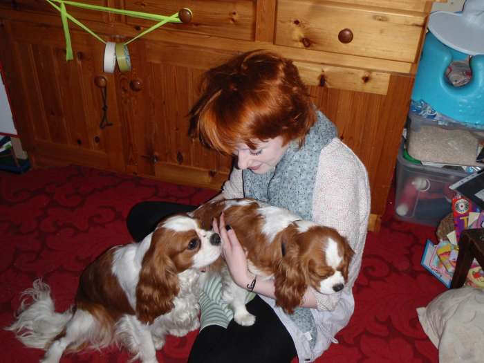 My hair a day after the henna treatment. As you can see, it became a deeper, darker shade a red. My hair was originally lighter than the ginger patches on my dogs.
