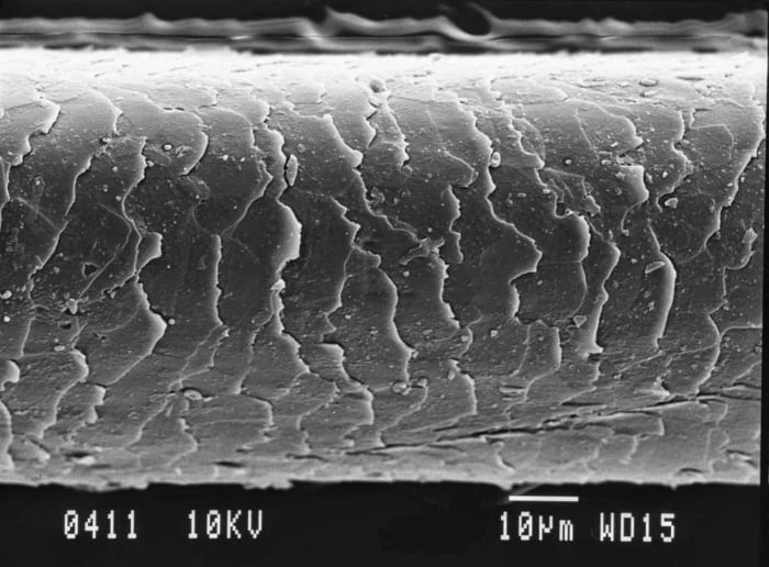 This is what your hair cuticle looks like up close. See those tiny ridges? You want those kept closed and tight to avoid frizz and damage.