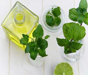 Tea tree oil helpt bij het uitdrogen van puistjes wanneer het wordt gebruikt in peel off maskers.