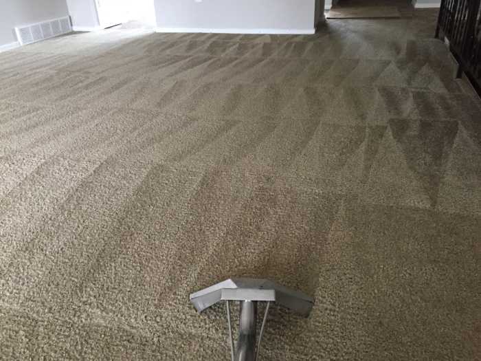 This article will break down how to remove stubborn carpet tar and restore your floor to its former glory.