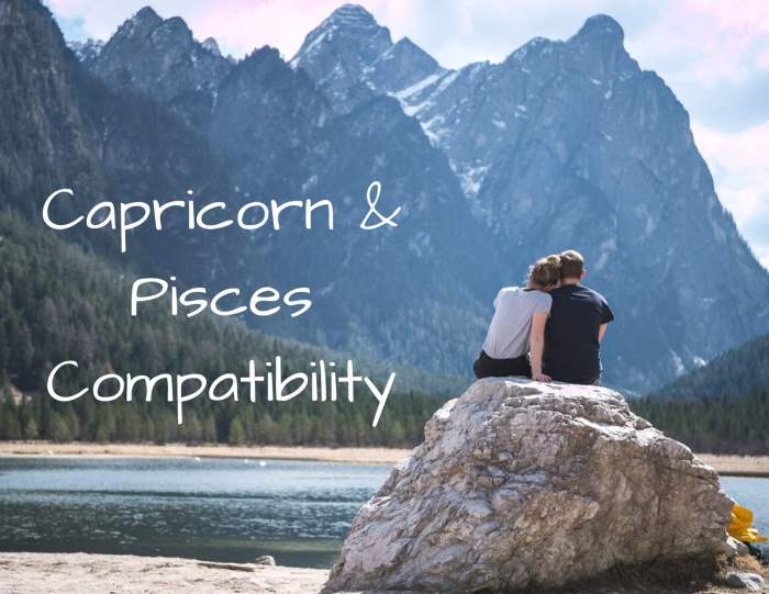 Just like land and water have coexisted for millions of years, Capricorn and Pisces can make for a long-lasting relationship.