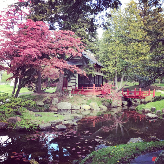A photo from Sonnenberg Gardens near Canandaigua, NY. One of my favorite places to visit that showcases the state's unique beauty.
