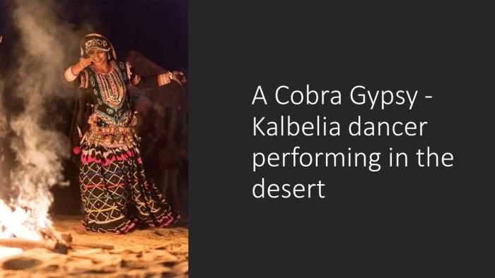 everything-you-always-wanted-to-know-about-gypsies-but-were-afraid-to-ask