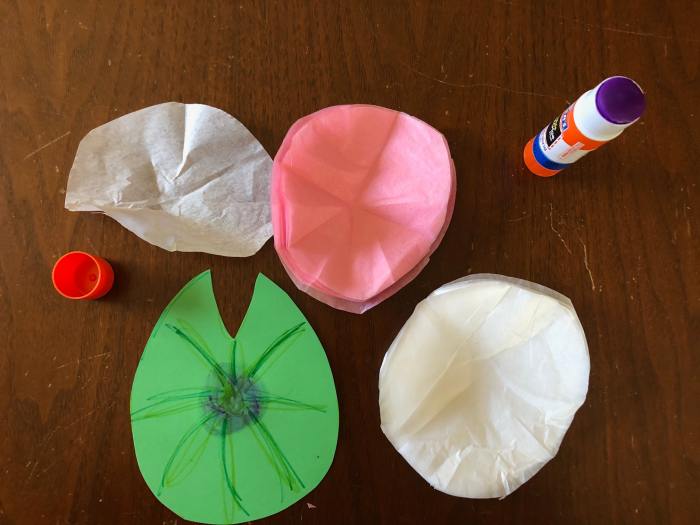 Waterlily Art Projects for Kids WeHaveKids