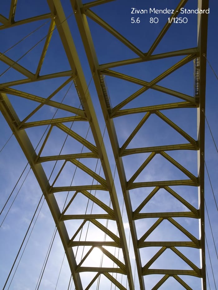 Can you guess what this is? Bridges have interesting configurations.