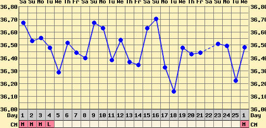 The above chart is an example of an anovulatory cycle where there is no marked temperature shift in the middle of the cycle.