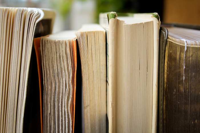 Your grandkids will need to turn to the dictionary if they don't recognize the vocabulary words in the Word Lookup game.