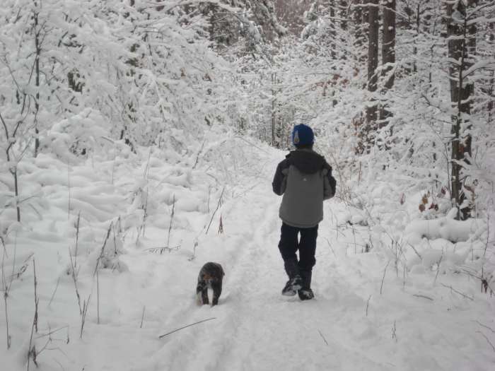 Hiking in the forest after a fresh snowfall.