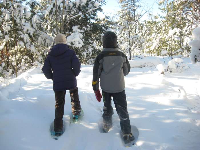 Snöskovandring är ett roligt sätt att få frisk luft och motion på vintern.